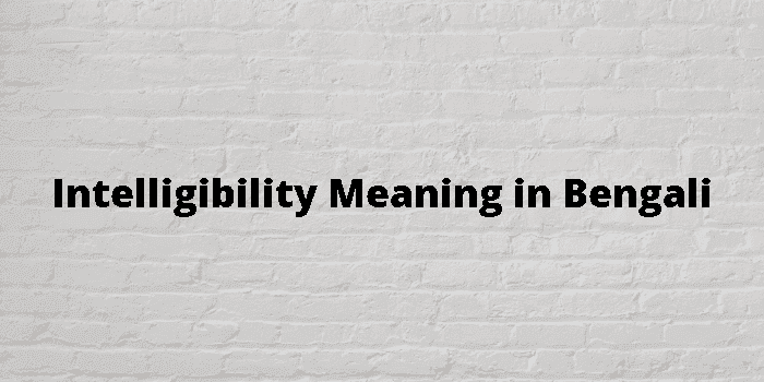 intelligibility