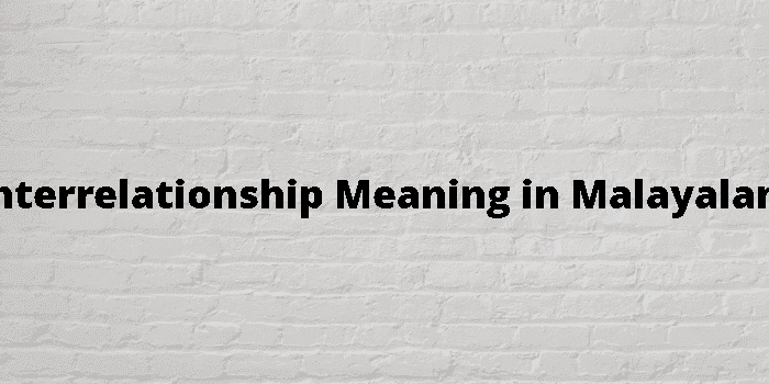 interrelationship