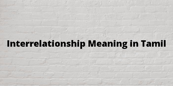 interrelationship