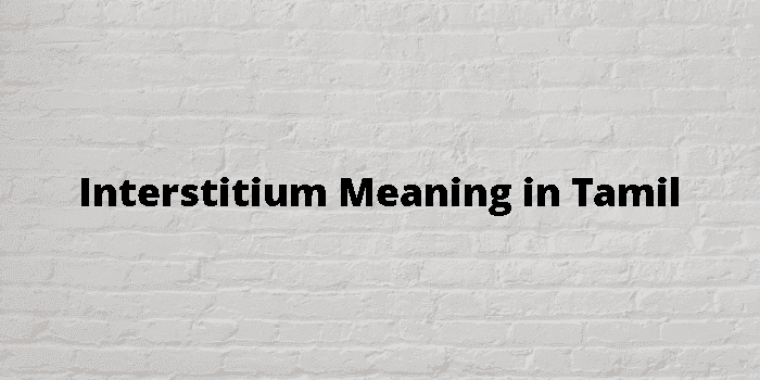 interstitium