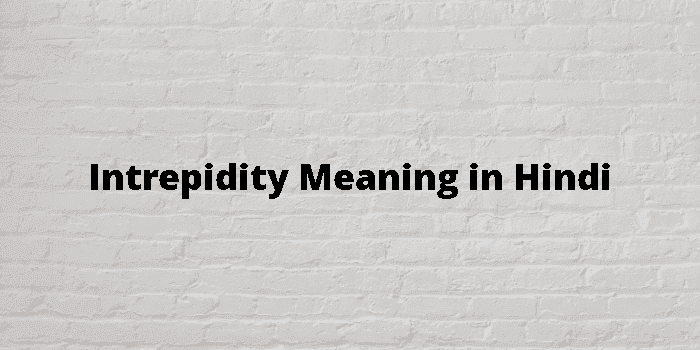 intrepidity