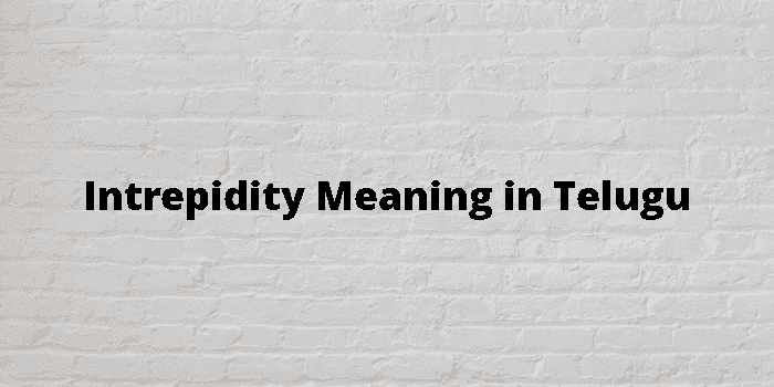 intrepidity