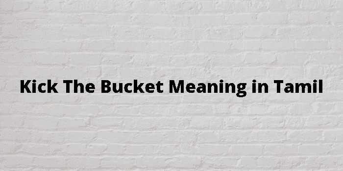 kick the bucket