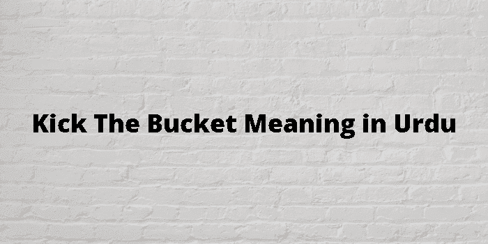 kick the bucket