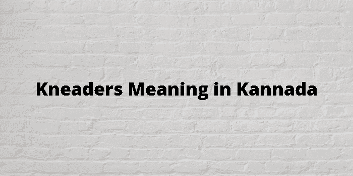 kneaders