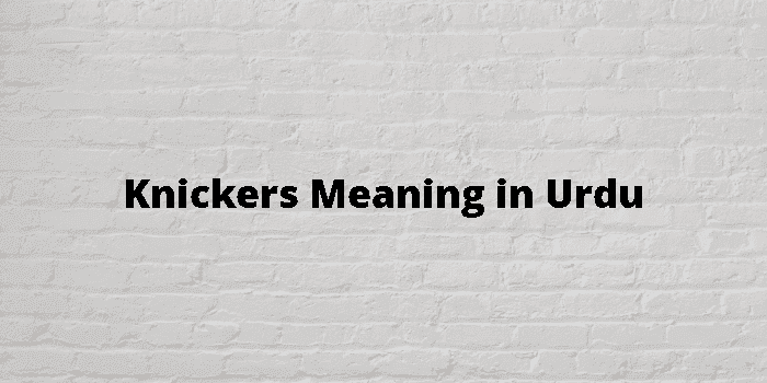 Knickers Meaning In Urdu - اردو معنی
