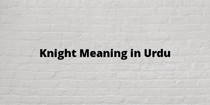 knight-meaning-in-urdu