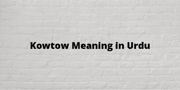 kowtow