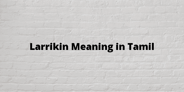 larrikin