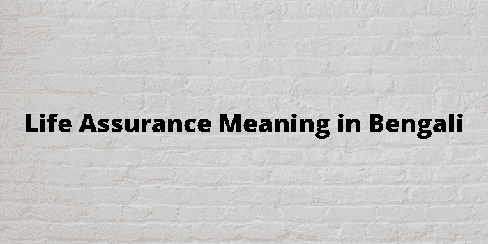 life assurance