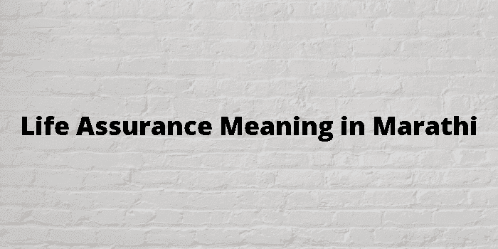 life assurance