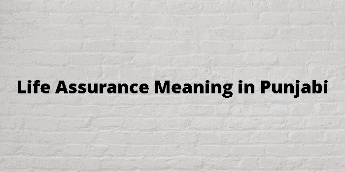 life assurance