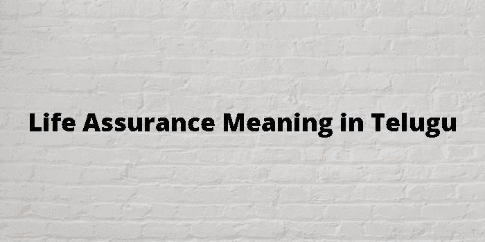 life assurance