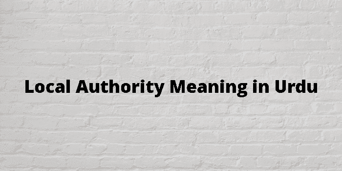 local authority