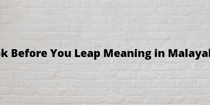 look before you leap