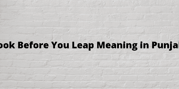 look before you leap