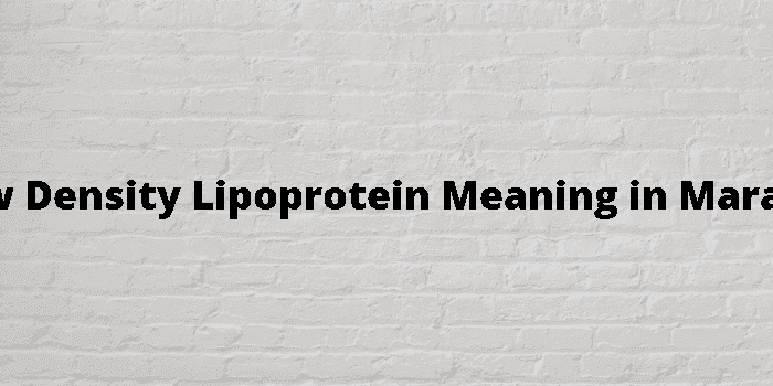 low density lipoprotein