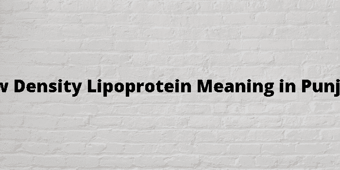 low density lipoprotein