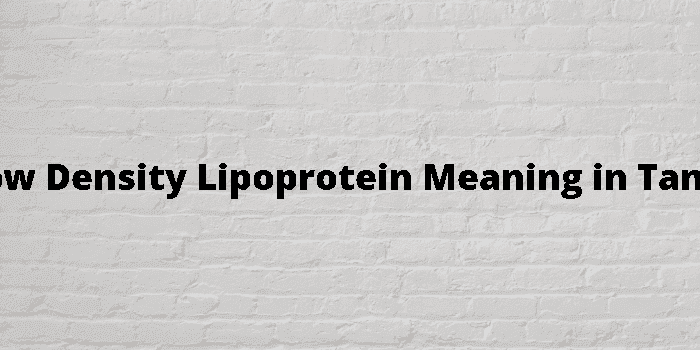 low density lipoprotein