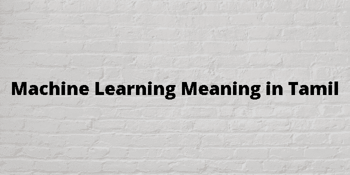 Learning Meaning In Tamil