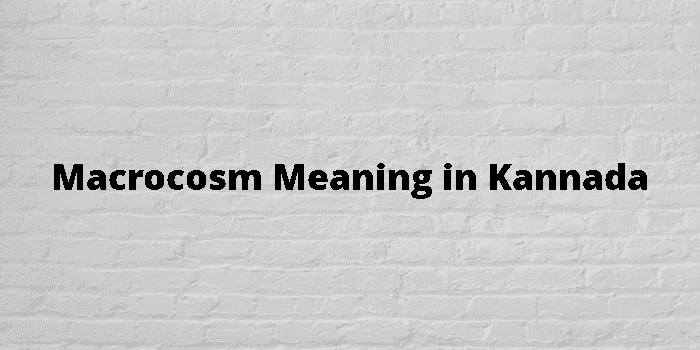 macrocosm