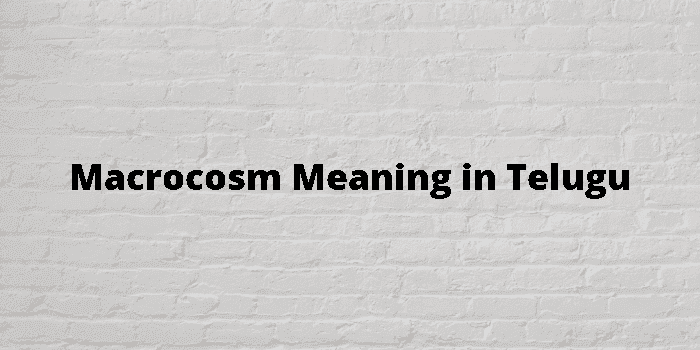 macrocosm