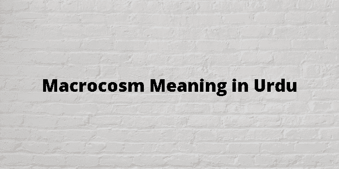 macrocosm