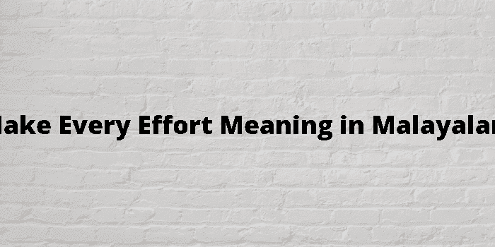 make every effort