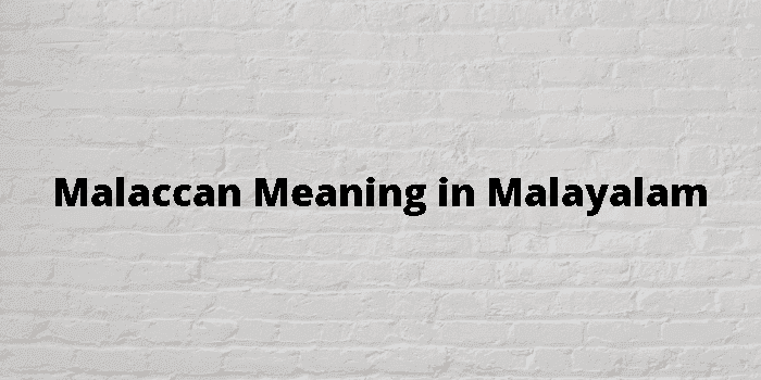 malaccan