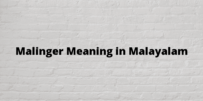 malinger