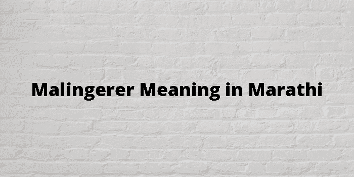 malingerer