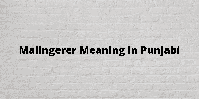 malingerer