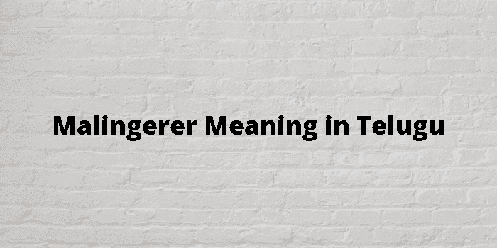 malingerer