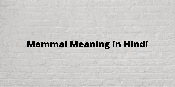 mammal