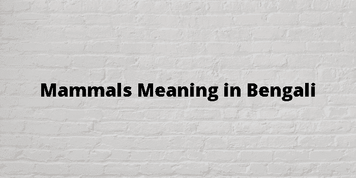 mammals