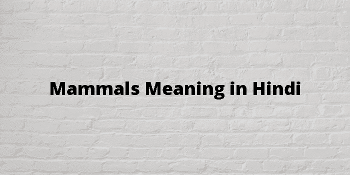 mammals