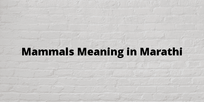 mammals