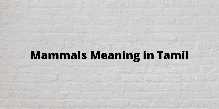 mammals