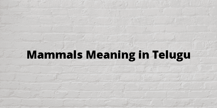 mammals