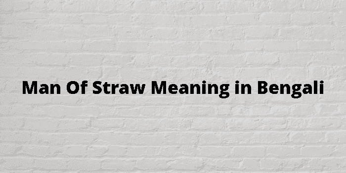 man of straw