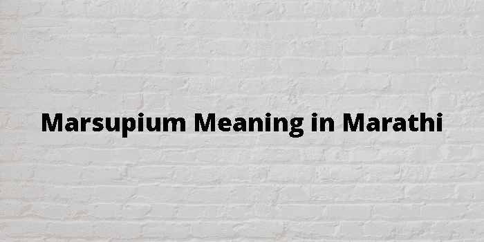 marsupium