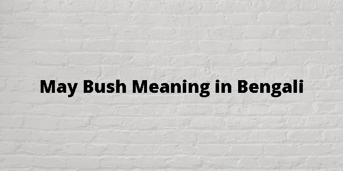 may bush