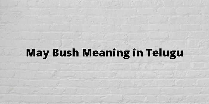 may bush