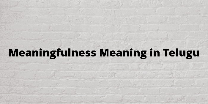 meaningfulness