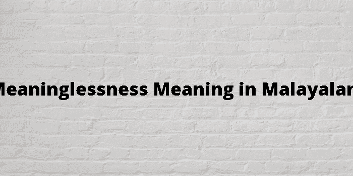 meaninglessness