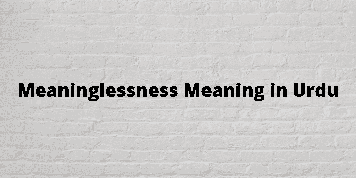 meaninglessness