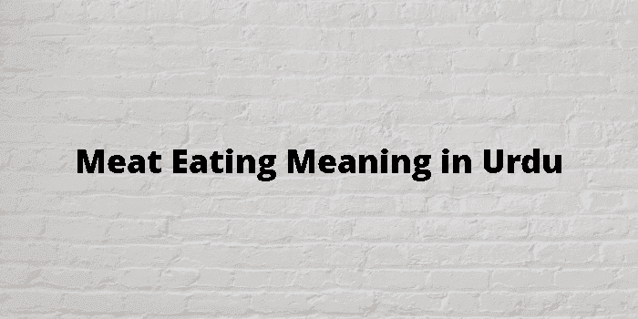 meat eating