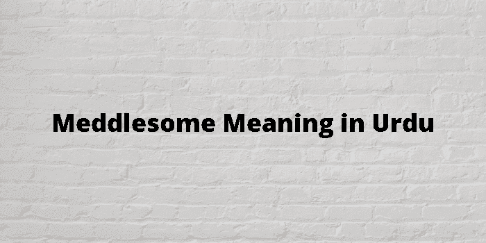 meddlesome