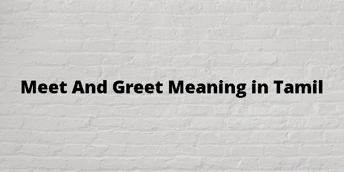 meet and greet