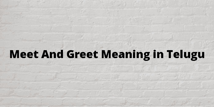 meet and greet